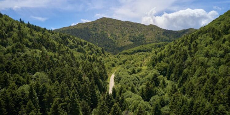 Μπούρινος: Ορεινοί όγκοι που εντυπωσιάζουν