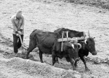 Εθυμοτυπικές  Συνήθειες του  Οκτώβρη