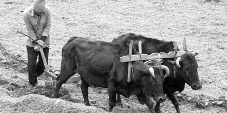 Εθυμοτυπικές  Συνήθειες του  Οκτώβρη