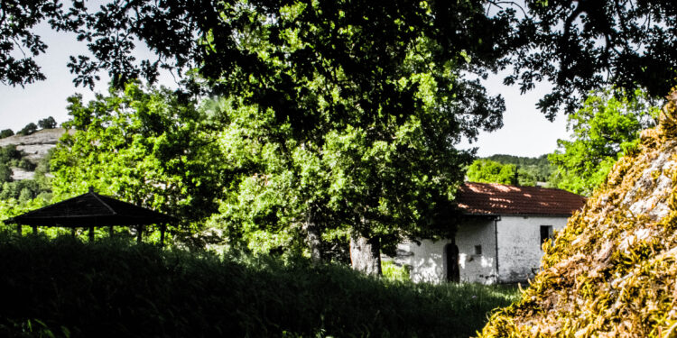 Ζωοδόχος Πηγή Χρυσαυγής