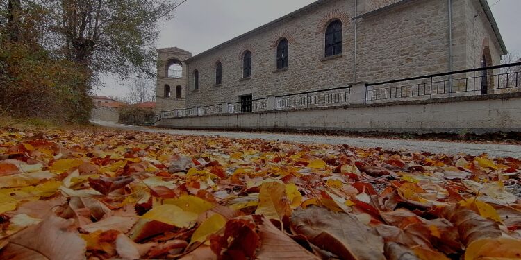 Λευκοθέα Βοΐου