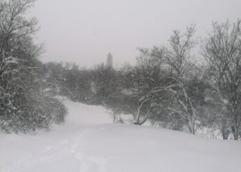 Έθιμα Εορτών Χριστουγέννων