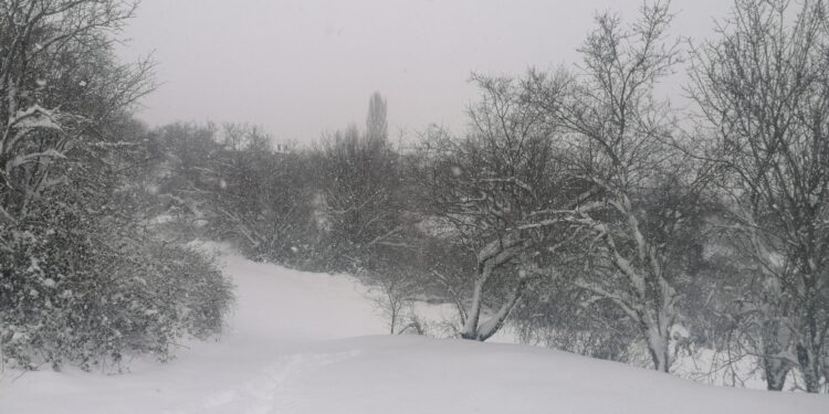 Έθιμα Εορτών Χριστουγέννων