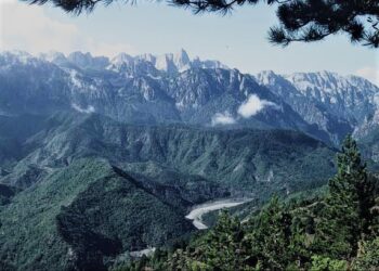 Ονομασίαν Βόιον