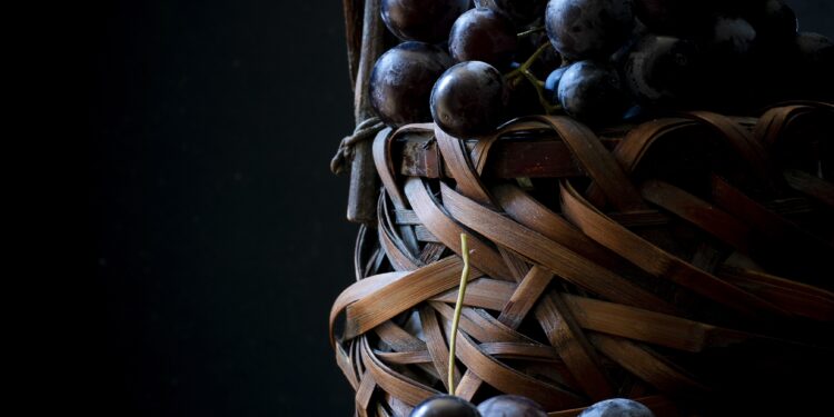 Η καλλιέργεια της αμπέλου στην ευρύτερη περιοχή του Βοϊου