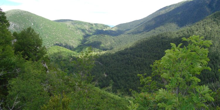 Μπούρινος: το πανέμορφο βουνό της Δυτικής Μακεδονίας