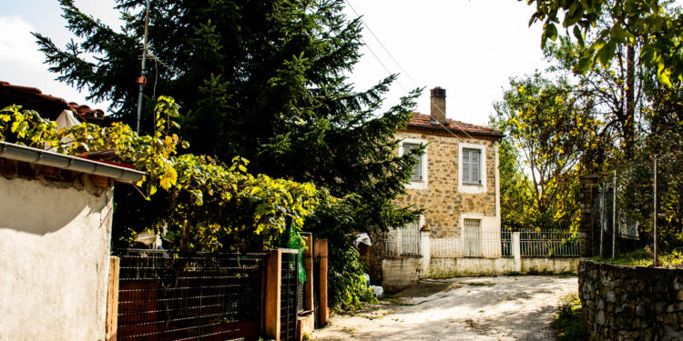 Δαμασκηνιά : Γνωρίστε το μεγαλύτερο καστανοχώρι της Δυτικής Μακεδονίας