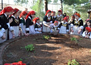 Οι Λαζαρίνες του Κρόκου, αρχαιοελληνικό  κατάλοιπο των Παρθενίων