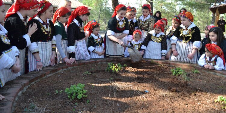 Οι Λαζαρίνες του Κρόκου, αρχαιοελληνικό  κατάλοιπο των Παρθενίων