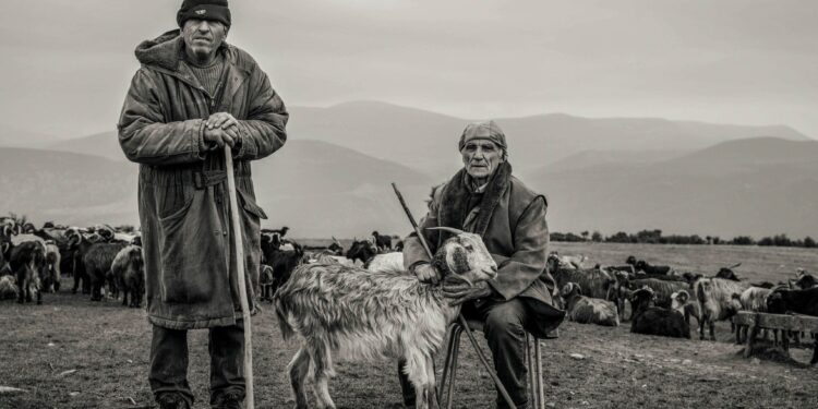 Κτηνοτροφία